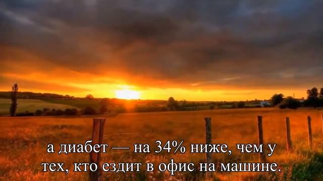 Ездить на работу на общественном транспорте полезно для здоровья — Статья смотреть онлайн