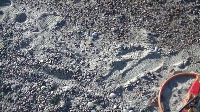 Поиск ювелирных украшений на пляже по заказу смотреть онлайн