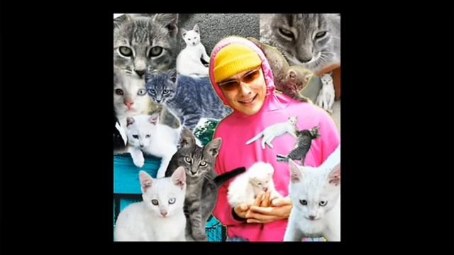 СЛИВ ПЕСНИ ПРО СЕРЁГУ И КАКОСА @HolyBaam смотреть онлайн