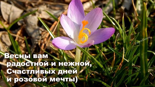 Весеннего доброго утра