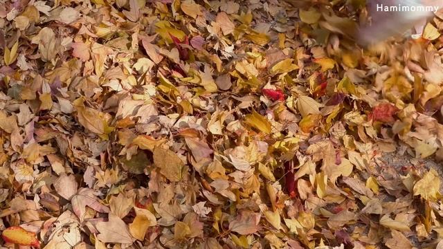 Vlogㅣ작은 주택에서 보내는 슬로우 라이프ㅣ아침 청소, 빵 굽기, 사진첩 정리, 모닥불ㅣ전에 살던 집 놀러간 일상 ? смотреть онлайн