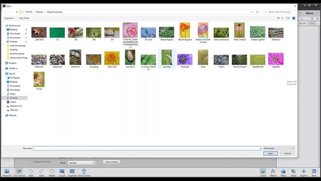 Tiny Landscapes: Using Nik Viveza & Nik Color Efex for Creative Macro Images смотреть онлайн