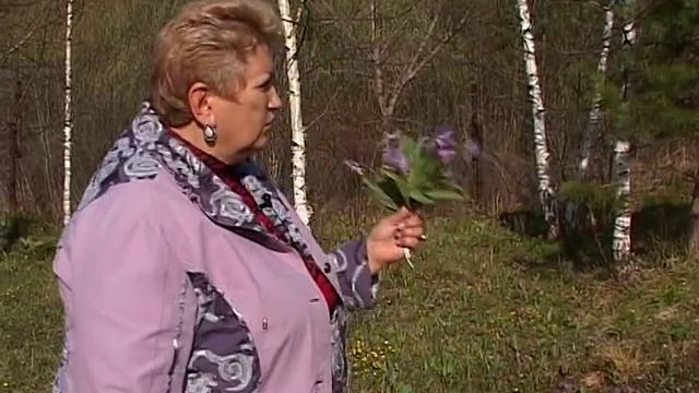 Кандык сибирский смотреть онлайн
