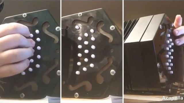 Mini Prelude and Fugue in D Minor Concertina Trio (Original Piece) смотреть онлайн