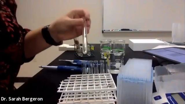 Chem 437 Lab 4 Video of Day 1 Purification of Phospholipids Lab for Students смотреть онлайн