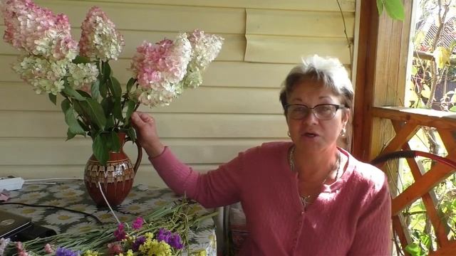 Сухоцветы - статице и гортензия. Как засушить цветы? смотреть онлайн