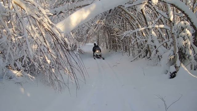 Каюр-Лонг на гусе Рысь смотреть онлайн