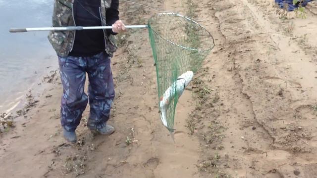 РЕВЕРСИВНЫЙ КОРАБЛИК смотреть онлайн