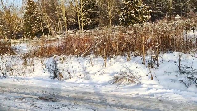 Переславль-Залесский. Обзор Плещеева озера и монастырей города .⛪?? смотреть онлайн