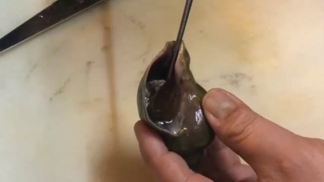 青つぶ貝の柔らか煮の作り・レシピ！ смотреть онлайн