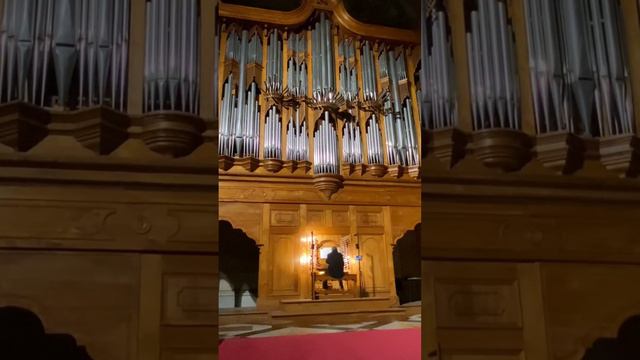 ADAGGIO played on BARTHELEMY FORMENTELLI ORGAN in BASILICA DI S. MARIA degli ANGELI e dei MARTIRI смотреть онлайн
