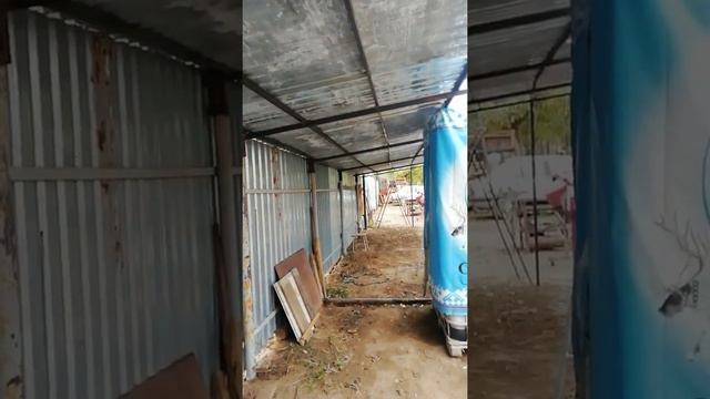 Строительство навеса почти завершено. Крашу будку собачкам. Мойка машины. Собачки.