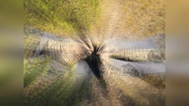 Открытие сезона 2019 озеро Глубокое смотреть онлайн