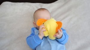 Гноятся глаза у ребенка | Дакриоцистит новорожденных |  Массаж слезного канала