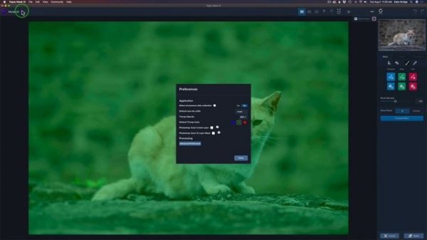 TOPAZ MASK AI: Setting Up Mask Ai for Maximum Performance