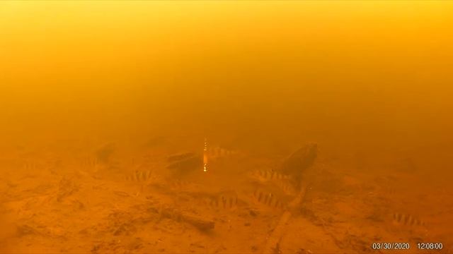 СС-27 игра под водой смотреть онлайн