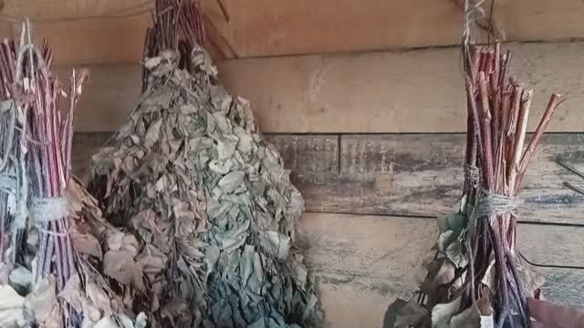 🪵🌱🌿Березовый веник 🌿 Кладезь здоровья и молодости ❗ смотреть онлайн