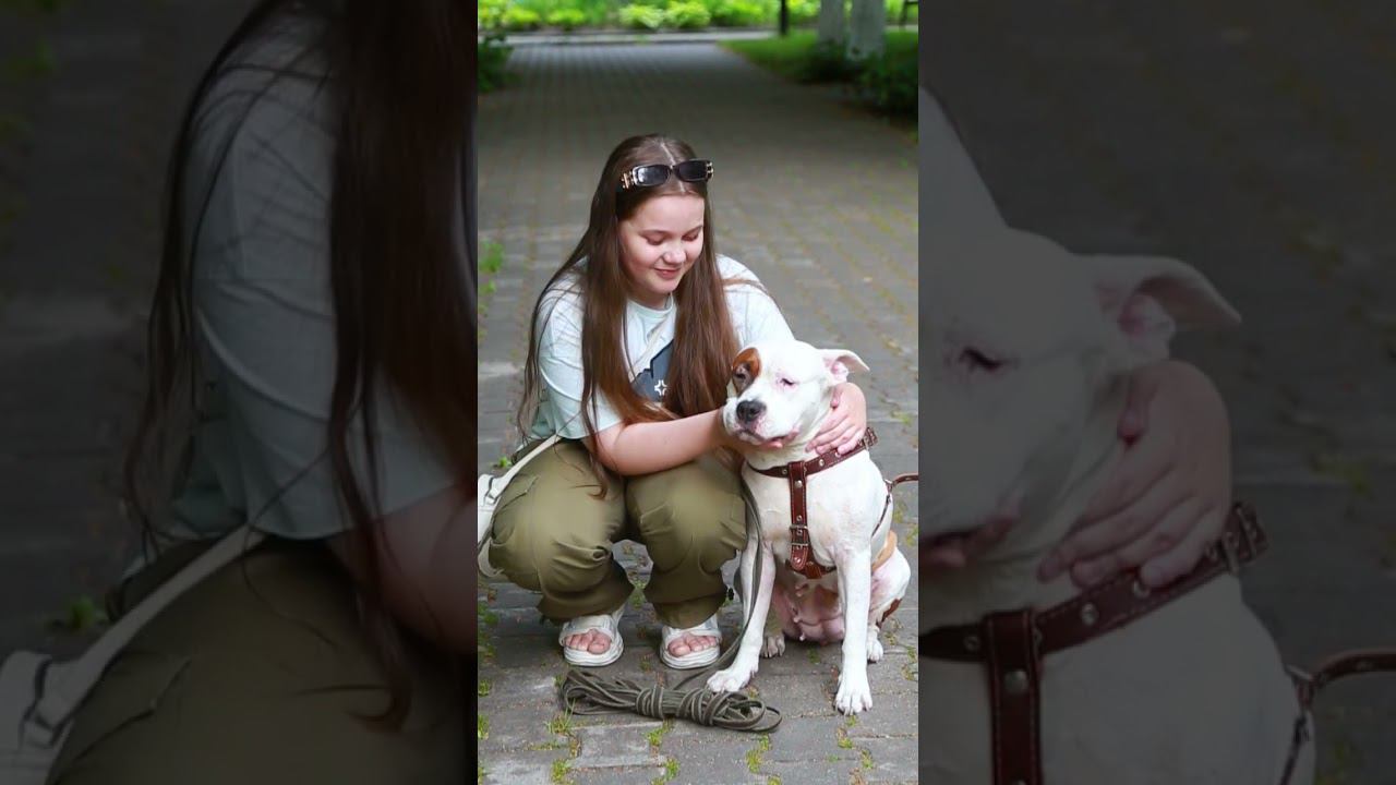 super смотреть онлайн