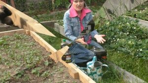 После этой подкормки клубника завалит урожаем!