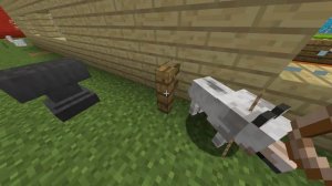 ТОП 2 СПОСОБА как дать имя питомцу в Майнкрафт