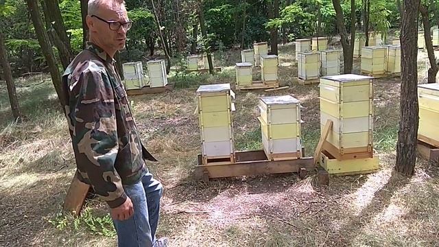 Идеальная подставка для кочёвки смотреть онлайн