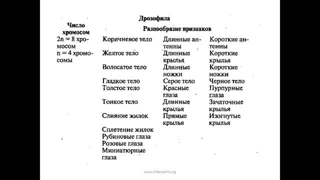 Генетика пола. Сцепленное с полом наследование смотреть онлайн