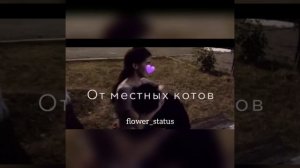 Мама залечи мои открытые раны💔
