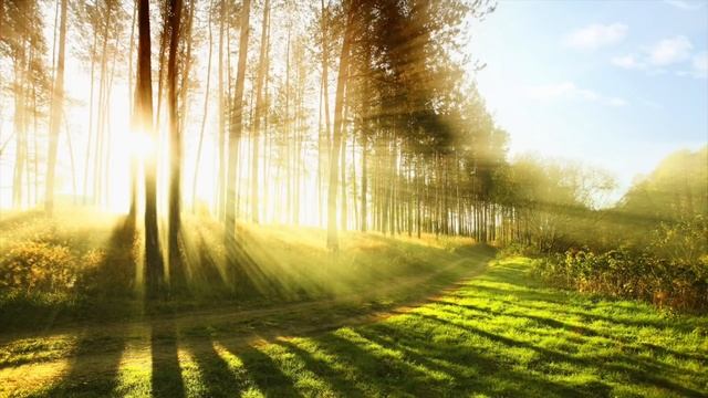 Tai chi chuan meditation music смотреть онлайн