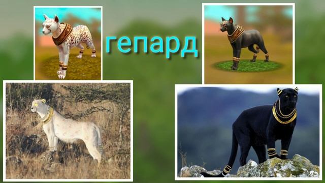 КАК ВЫГЛЯДЯТ МИСТИКИ ИЗ Wild Craft В РЕАЛЬНОСТИ!? смотреть онлайн