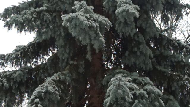 ТВОЙ ДОМ НА БЫВШЕМ КЛАДБИЩЕ?! смотреть онлайн