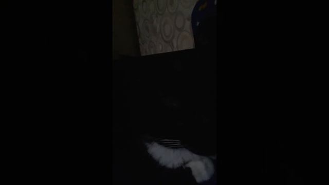 Сегодня был очень странный день😴😴 смотреть онлайн