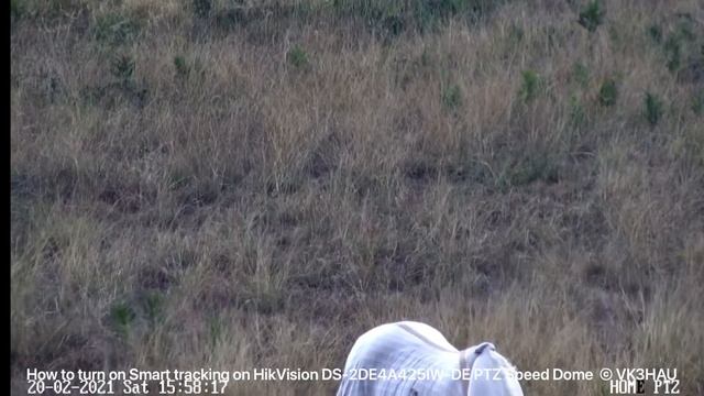 How To Turn On Smart Tracking On HikVision DS-2DE4A425IW-DE PTZ Speed Dome  © VK3HAU