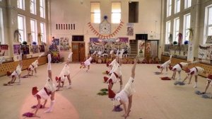 Художественная гимнастика. Показательные выступления / 21-12-2023