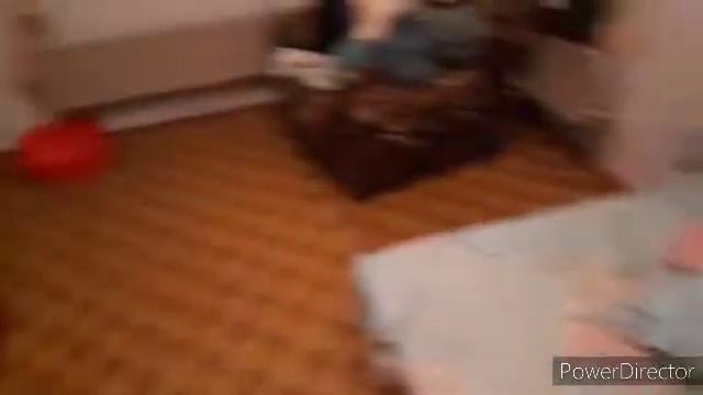 НАШ ВЕЧЕР С ДАНИЭЛЬ!! 😉 29.11.20. смотреть онлайн