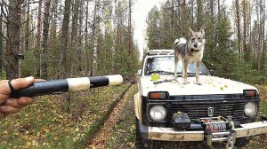 "ПУРГА ПРОПАЛА"  Не повторяйте чужих ошибок!
