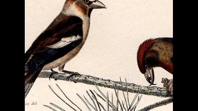 À perte de vue смотреть онлайн