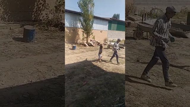 Кашгар сити смотреть онлайн