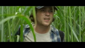 Высокая зелёная трава / В высокой траве (2019)