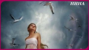 НА МИНУТУ ПРЕДСТАВЬ - Афродита