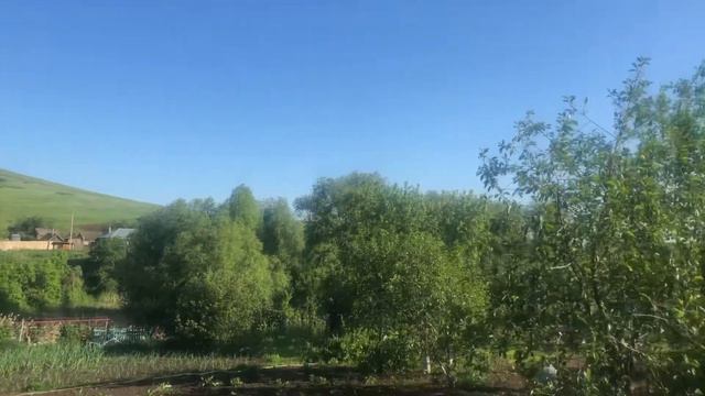 Кукушка сколько мне осталось? смотреть онлайн