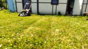 Газонокосилка бензиновая. CHAMPION LM4627