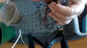 Сохраняем растения. ГЕРАНЬ ГИМАЛАЙСКАЯ Пленум.   Пересадка корня из пакета в горшок. 21.03.2021