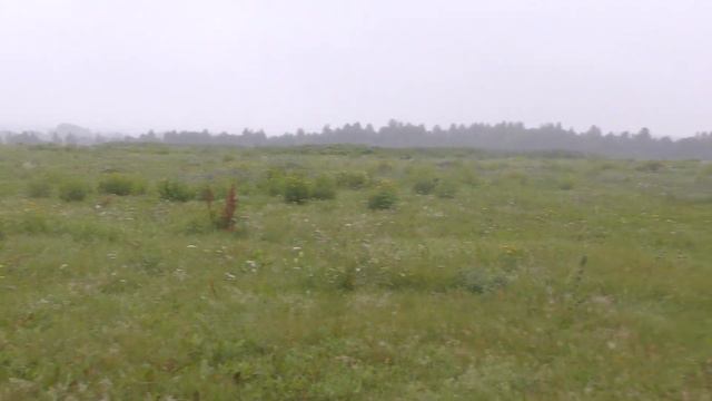 Ульяна 4 смотреть онлайн