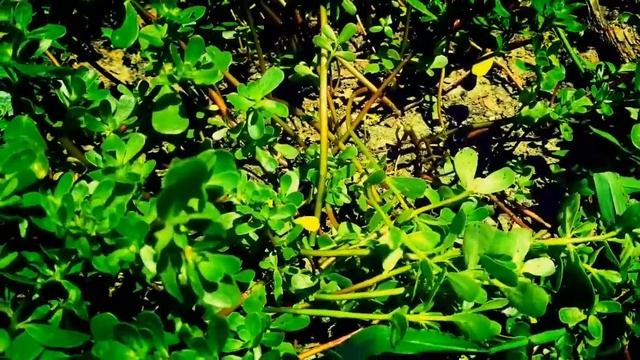 Вкусная еда для всех случаев жизни 