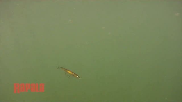 How To Fish the Rapala Original Floating Lure | Rapala Fishing Tips смотреть онлайн