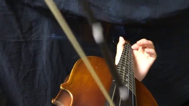 フレットバイオリンの演奏例～グリッサンド，スライド　Demonstration of a fretted violin; glissando and slide. смотреть онлайн