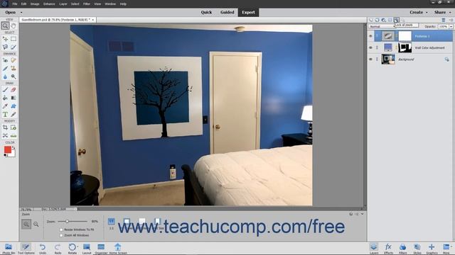 Photoshop Elements 2020 Tutorial Renaming Layers and Deleting Layers Adobe Training смотреть онлайн