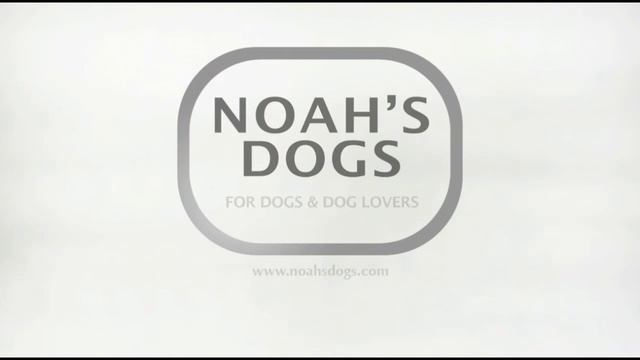 Bullmastiff with Tennis Ball - Noah's Dogs смотреть онлайн