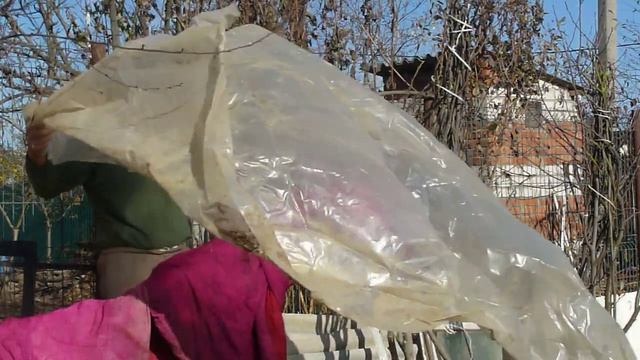 Укрытие инжира на зиму ( 2 ) смотреть онлайн