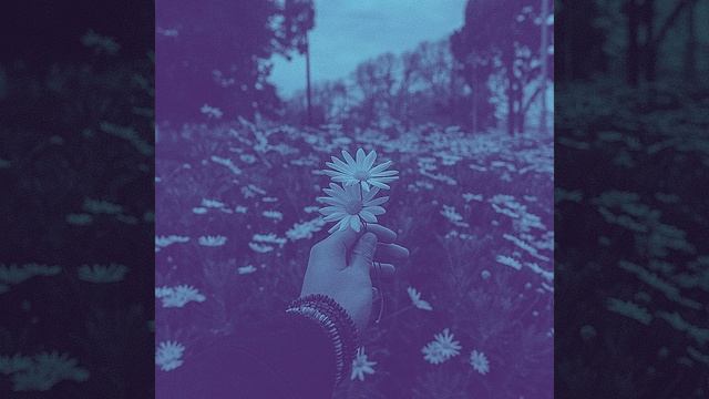 Отдых и расслабление